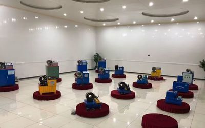 الصين Shanghai Fanying Machinery Technology Co., Ltd. ملف الشركة